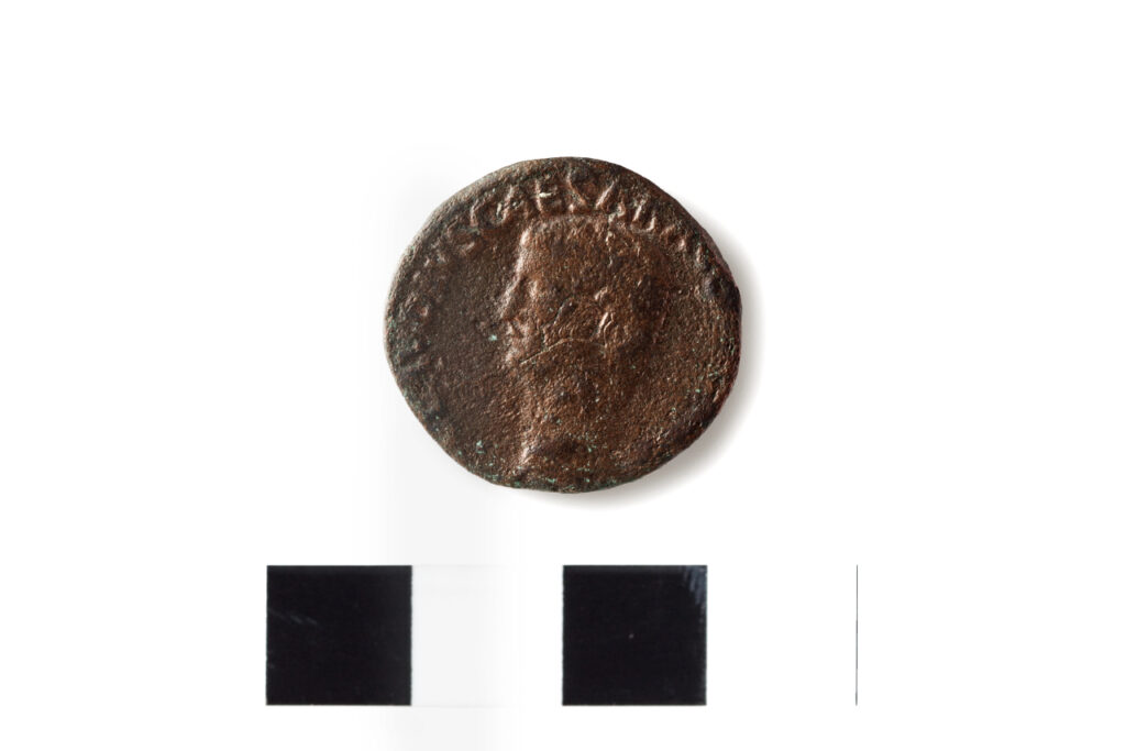 Asse dell’imperatore Claudio Patù - località Mariane 41-50 d.C. Bronzo Diritto: Tiberius CLAUDIUS CAESAR AUGustus Pontifex Maximus TRibunicia Potestate IMperator busto dell’imperatore Rovescio: Minerva, elmata e drappeggiata, con la destra scaglia il giavellotto, con la sinistra imbraccia uno scudo rotondo Senato Consulto. inv. 93368