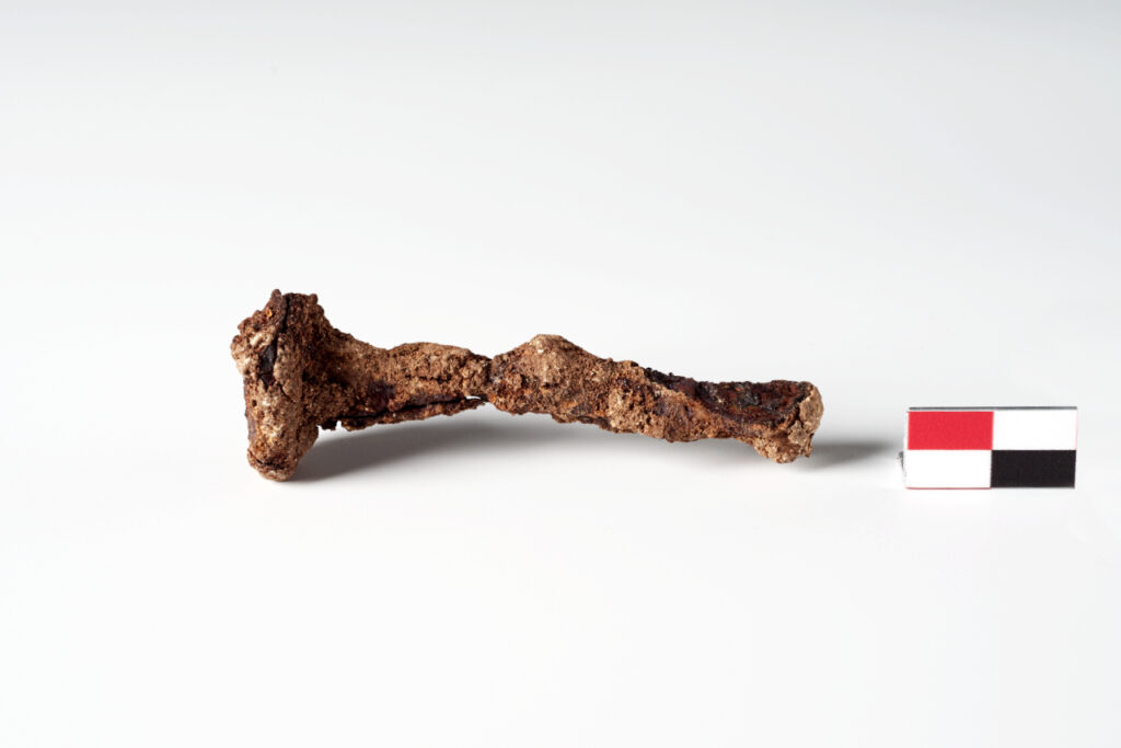 Chiodi Patù - Madonna di Vereto Età romana Ferro Inv. 92342, 93350, 933370