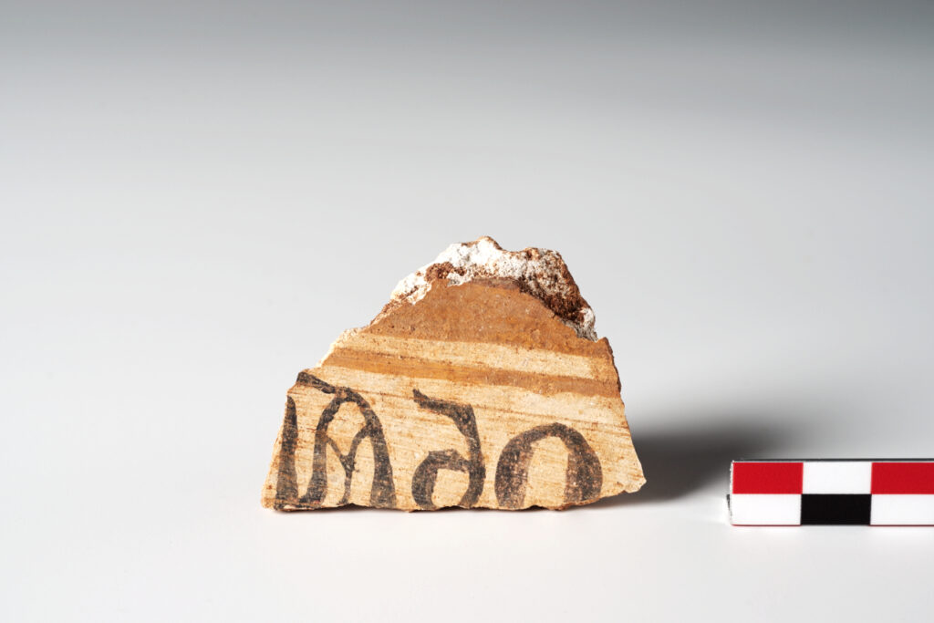 Iscrizione latina in onciale Patù - Madonna di Vereto XII sec. d.C. Intonaco dipinto Inv. 93343