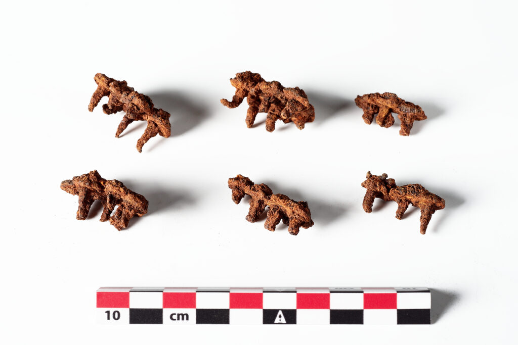 Patù - località Campo Re età romana Ferro inv. 20.S273-2.0.315