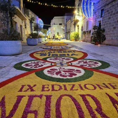 509313084_649510874780536_7084064793528872301_n